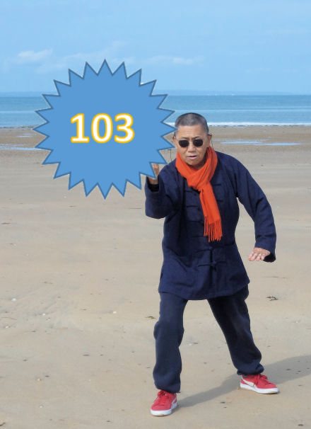Icône à cliquer pour accéder à la liste des 103 mouvements